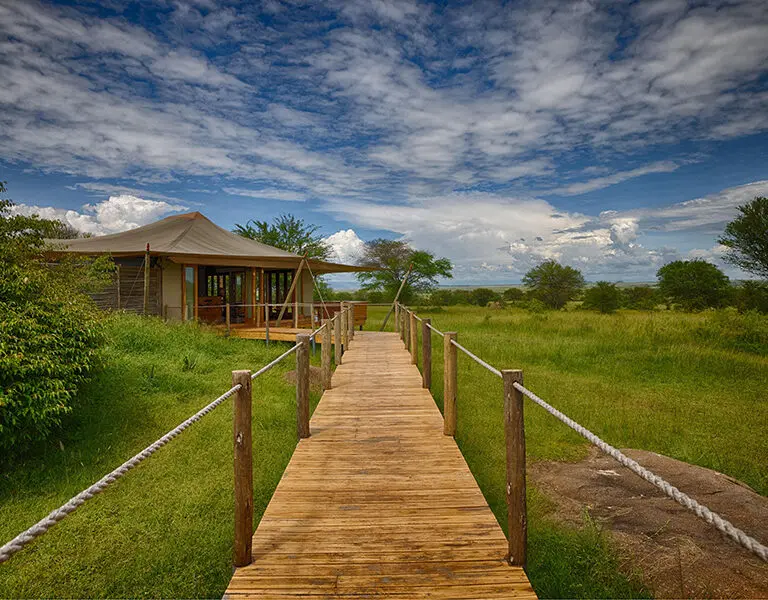 Private tented suites at Sayari.