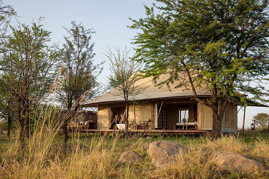 Sayari Tented Camp surrounded by trees and the expansive northern Serengeti | Go2Africa
