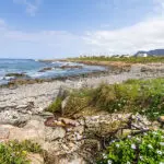 Hermanus, South Africa.