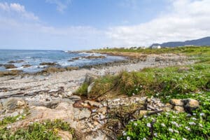 Hermanus, South Africa.