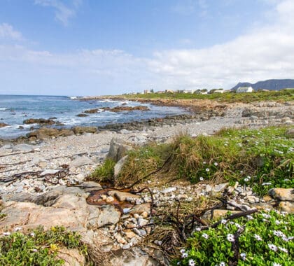 Hermanus, Sudáfrica.
