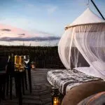 NAY PALAD Nido de pájaros.