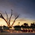 Comedor al aire libre.