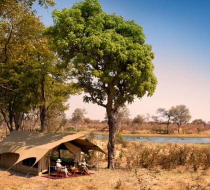 Situado a orillas del Selinda Spillway, este campamento es lo más parecido al África salvaje que puede encontrarse.