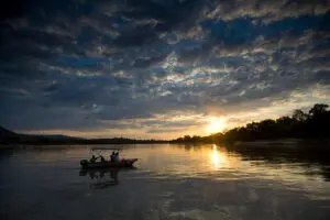 Safari en barco