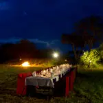 Cena de Bush
