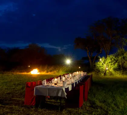 Bush dinner