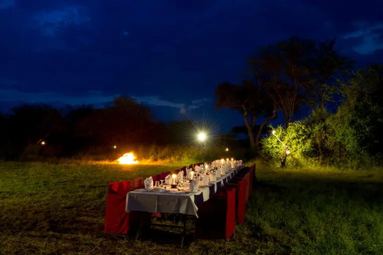 Bush dinner