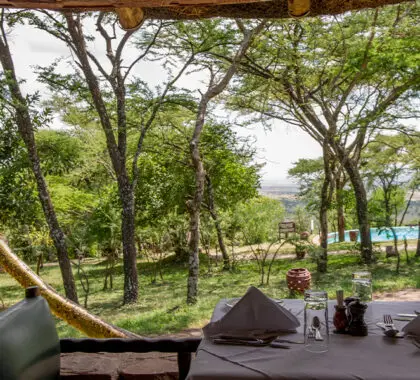 Dining with a view