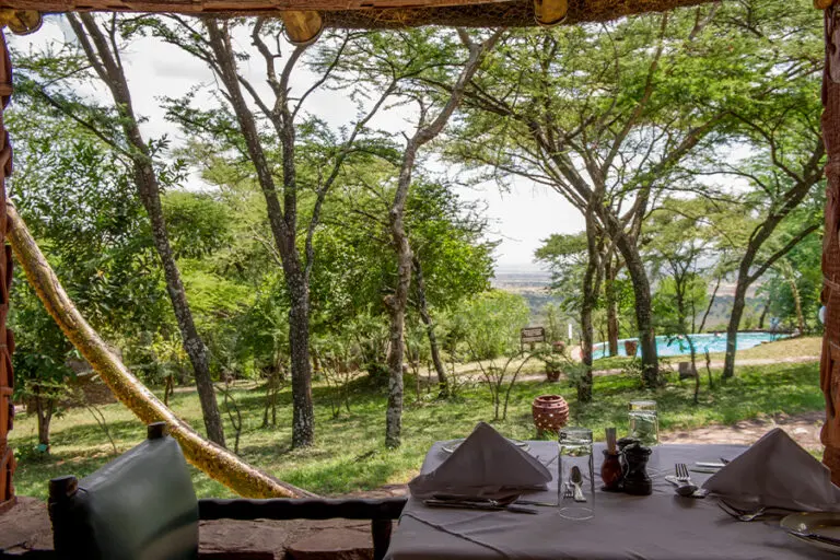 Dining with a view