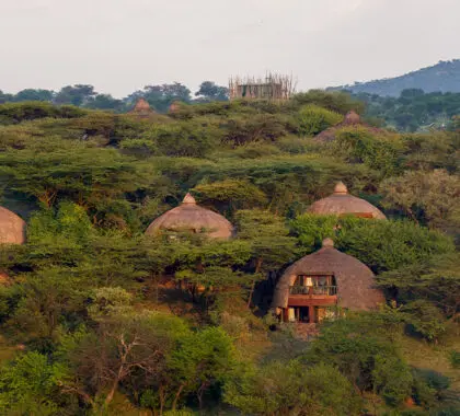 Exterior of the lodge