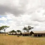 El campamento ofrece un alojamiento confortable y una oportunidad única de disfrutar de una auténtica experiencia de campamento de safari.