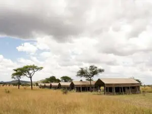 El campamento ofrece un alojamiento confortable y una oportunidad única de disfrutar de una auténtica experiencia de campamento de safari.