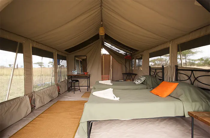 serengeti-kati-kati-dentro-de-la-tienda