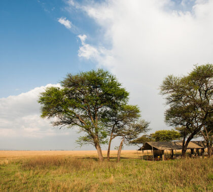 Serengeti-Safari-Camp