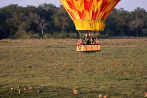 Serengeti Under Canvas Air balloon 