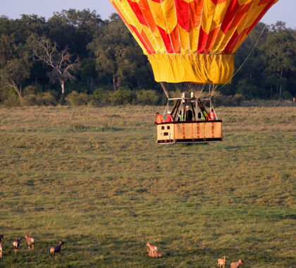 Serengeti Under Canvas Air balloon 