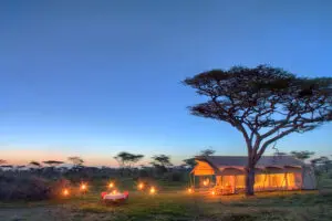 Exterior at night of the Serengeti Under Canvas camp.