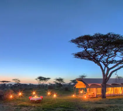 Serengeti-Under-Canvas_exterior1