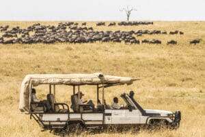 Enjoy stunning game drive views.