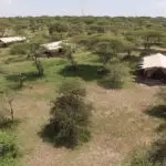 Serengeti Under Canvas