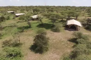 Serengeti Under Canvas