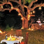 Cenar bajo las luces 