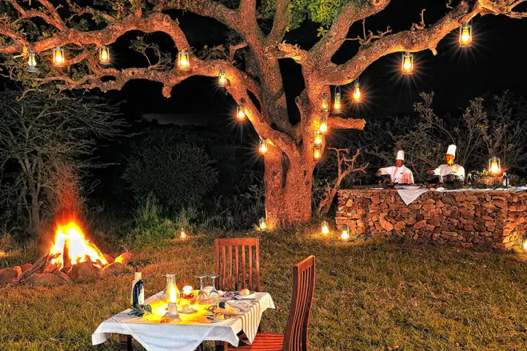 Dining under the lights 
