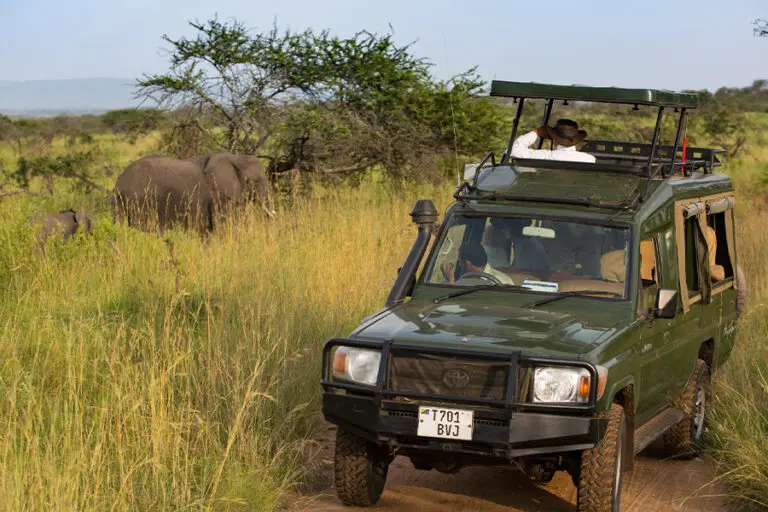 Game drive