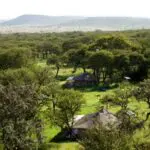 There are no fences around the property, so antelope and other wildlife often roam through camp.