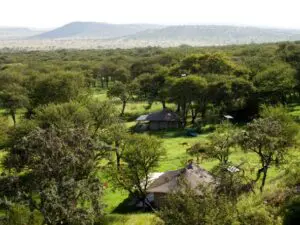 There are no fences around the property, so antelope and other wildlife often roam through camp.
