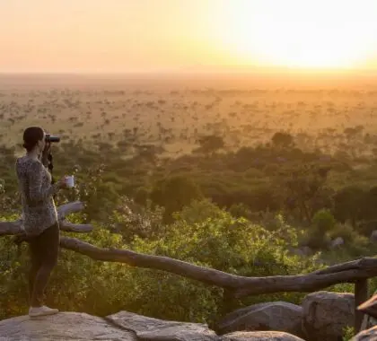 Serengeti Pioneer Camp sunset