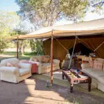 Head for the shaded sofas of the camp's lounge to relax & swop safari stories.