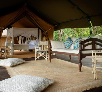 Enjoy spacious and cosy tented rooms.