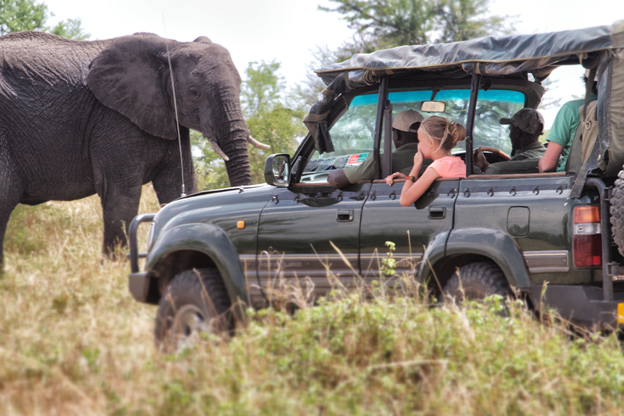 Game drive and spotting wildlife.