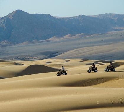 Quad biking excursions.