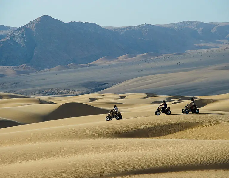 Quad biking excursions.