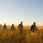Several Desert & Delta camps lie in private reserves, enabling them to offer night drives & guided walks.