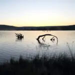 One of the small lakes within Shambala Private Game Reserve.
