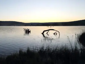 One of the small lakes within Shambala Private Game Reserve.
