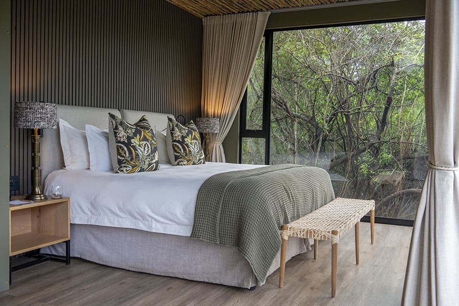 reserva de caza privada de shamwari