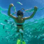 Practicar snorkel es una forma estupenda de observar la vida marina alrededor de los jardines de coral. 