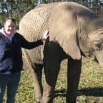Shelley Hess - encuentro con uno de los elefantes juveniles cerca de Addo, en la Ruta Jardín