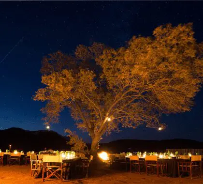 Shepherds-Tree-Game-Lodge_900x600px_5