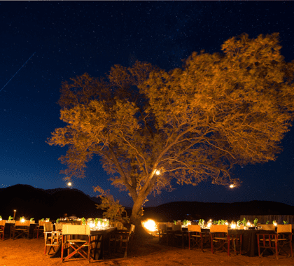 Shepherds-Tree-Game-Lodge_900x600px_5