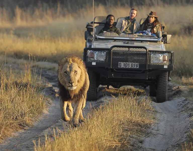 shinde-footsteps-sfs-activities-wildlife