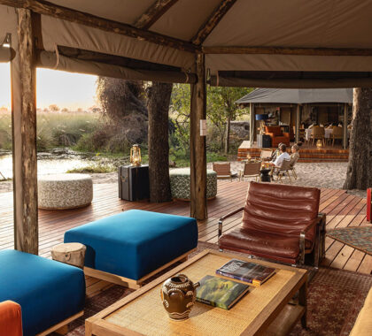 Relax in the lounge where you can spot animals as they wander past camp.