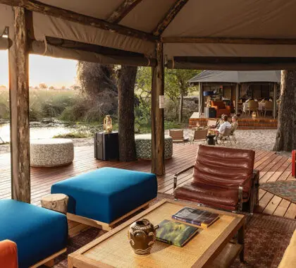Relájese en el salón, donde podrá avistar a los animales que deambulan por el campamento.