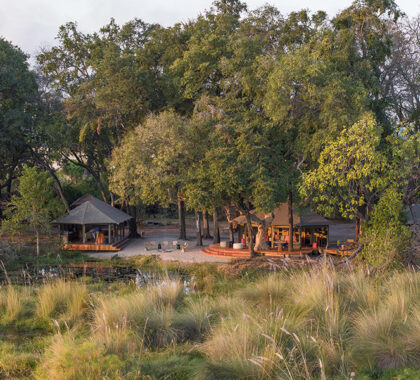 The lodge is nestled under tall trees providing shade through the day, as well as welcoming many species of birds. 