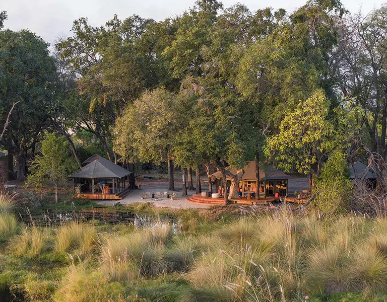 The lodge is nestled under tall trees providing shade through the day, as well as welcoming many species of birds. 